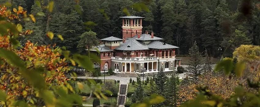ზვიადის  საოჯახო სასტუმრო — ფოტო 13