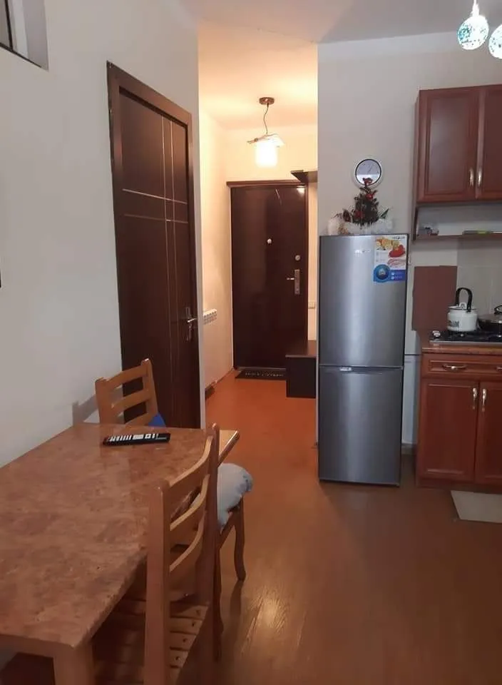 Mziuri veli,  Apartment 96 — Photo 24