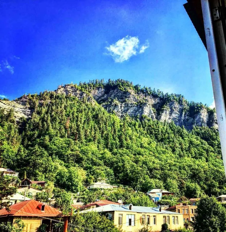 Apartment in Borjomi — Photo 1