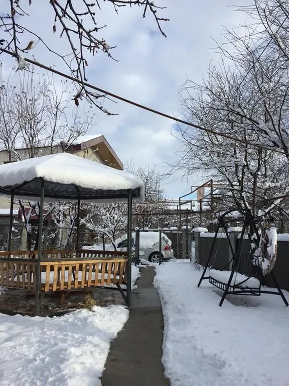 Tbili Sakhli — Photo 4