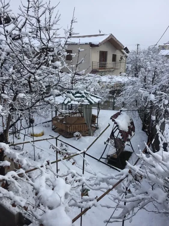 Tbili Sakhli — Photo 9