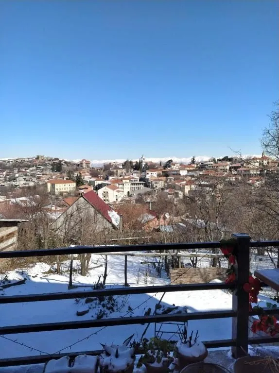 დავიდ — ფოტო 1