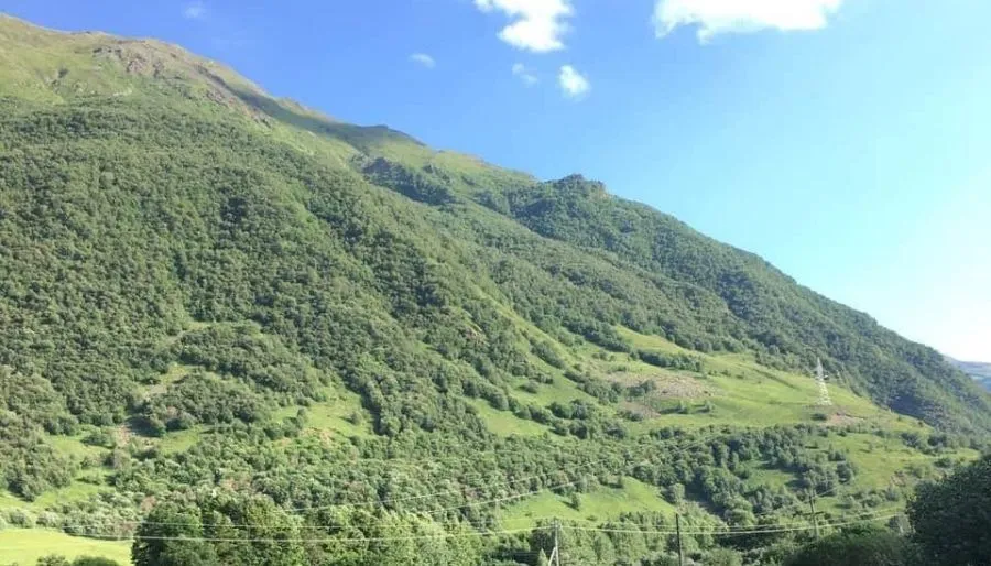 Gold kazbegi — Photo 7
