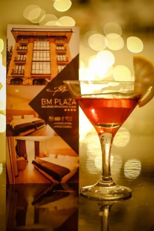 Hotel BM Plaza — ფოტო 8