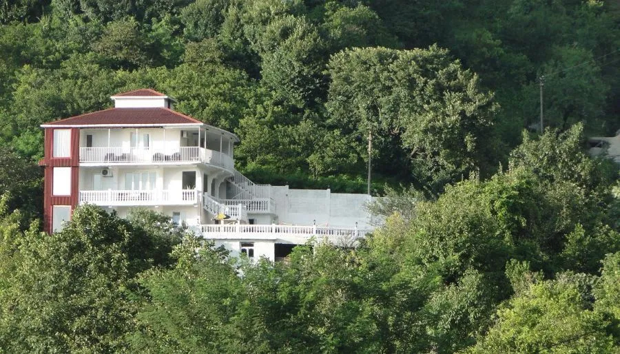 ლივადა — ფოტო 1