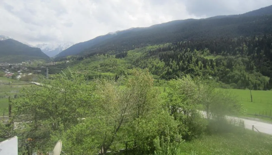 ნესგუნი — ფოტო 23
