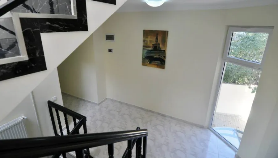 Agava — Photo 3