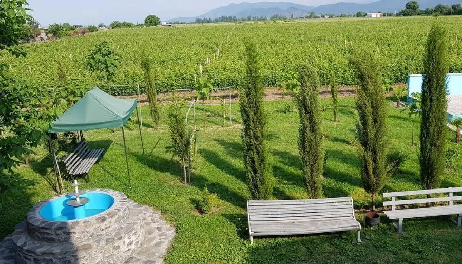Shaloshvili's Cellar Hotel — Photo 36