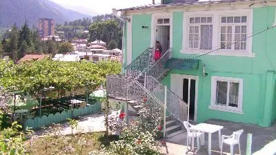 მწვანე ვარდი