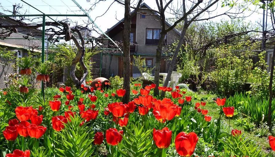 Milorava's Guest House & Wine Cellar — Photo 10