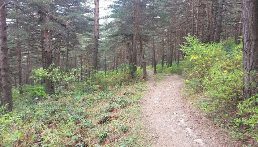 Красные близнецы — Фото 10