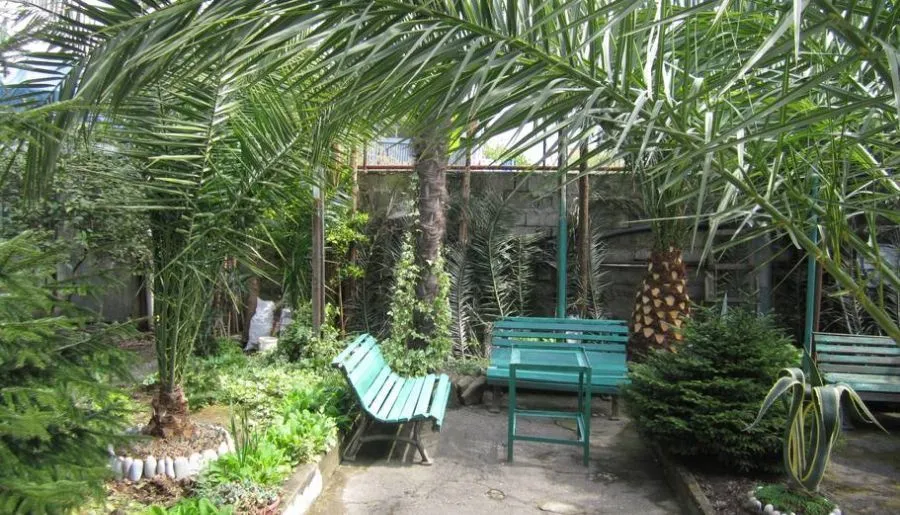 Guesthouse 97 in Batumi — Photo 10