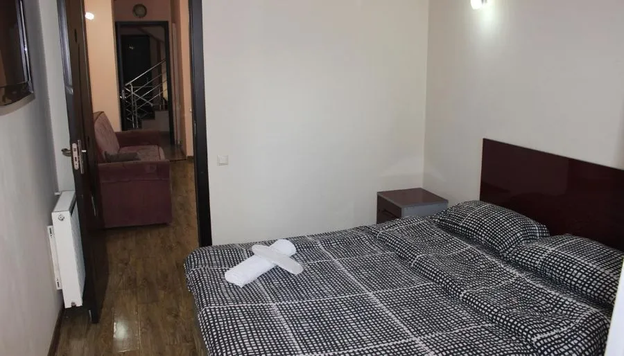 დელფინი — ფოტო 20