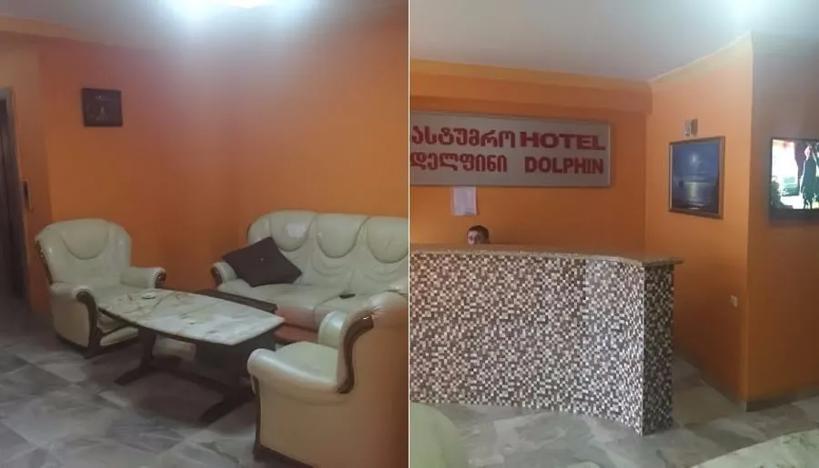 Dolphin — Photo 1