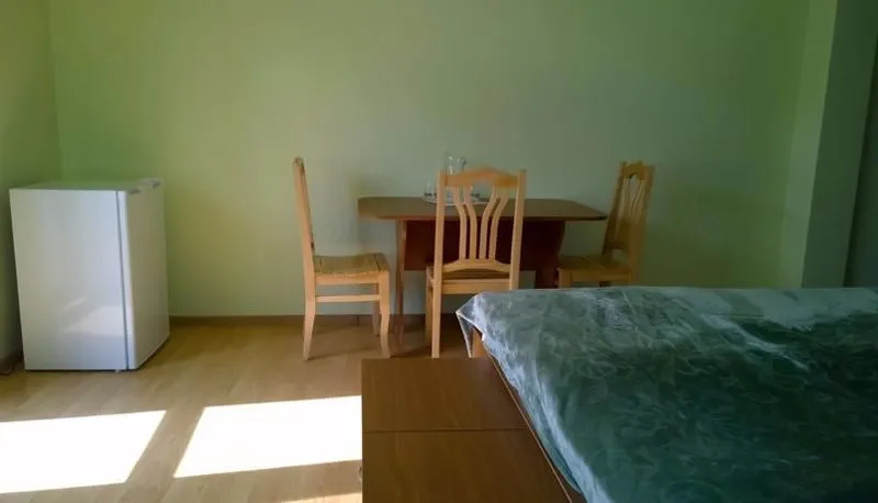 ფიროსმანი — ფოტო 24