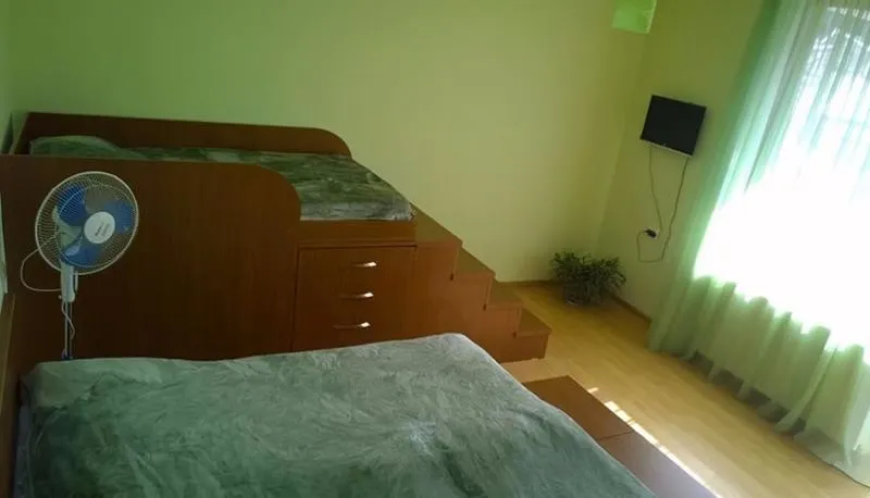 ფიროსმანი — ფოტო 25