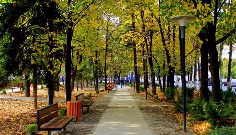ფიროსმანი — ფოტო 17