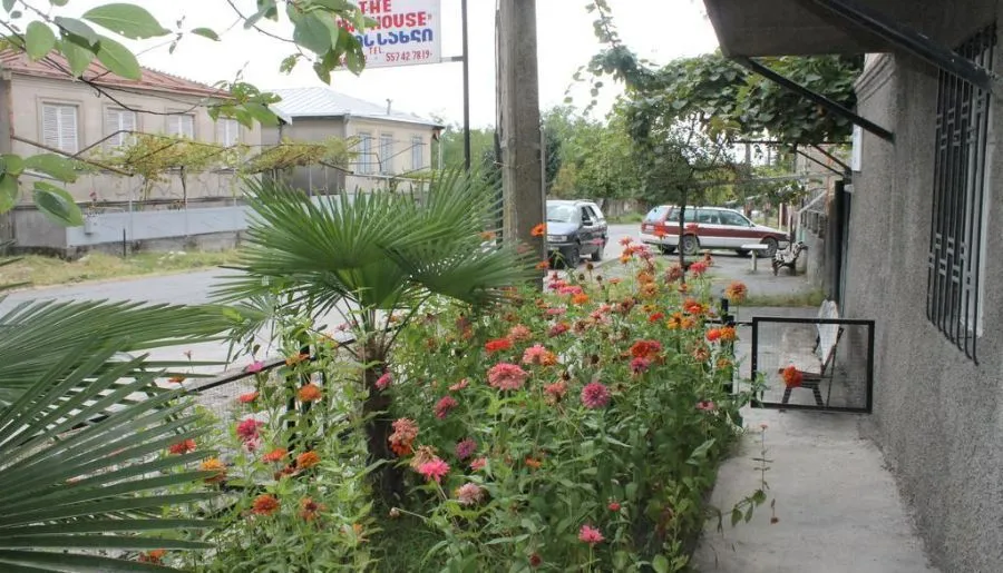 კივის სახლი — ფოტო 13