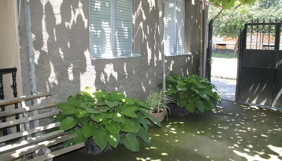 Kiwi House — Photo 2