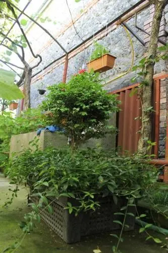 Kiwi House — Photo 1