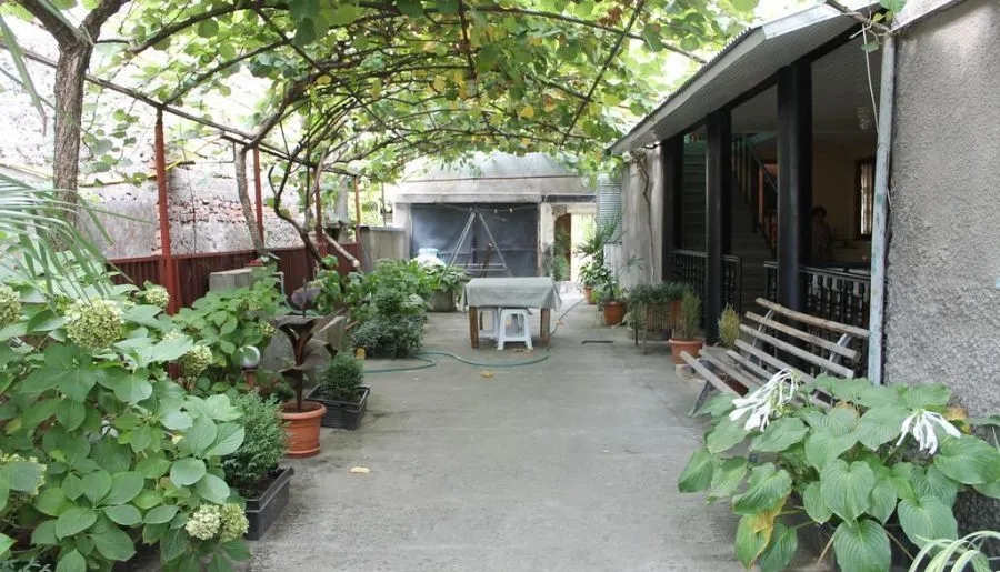 Kiwi House — Photo 11