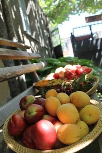 Kiwi House — Photo 12