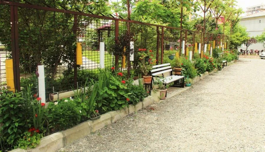 Achi — Photo 5