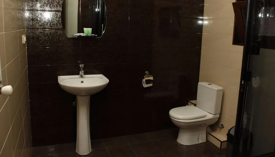 Majestic Hotel Tbilisi — Photo 29