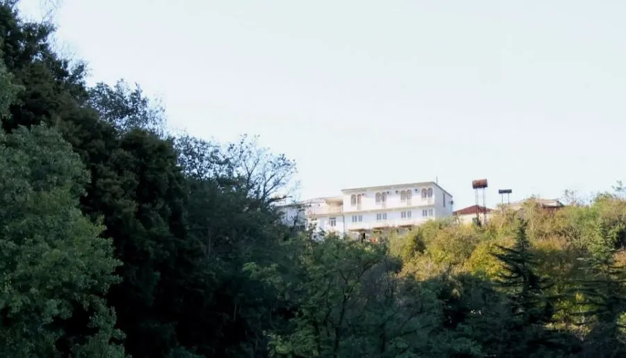 ბექა — ფოტო 8
