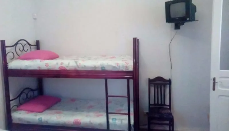 თემური — ფოტო 13