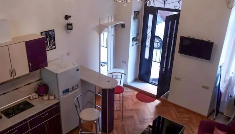 Comfortable Flat in Central Tbilisi — ფოტო 3