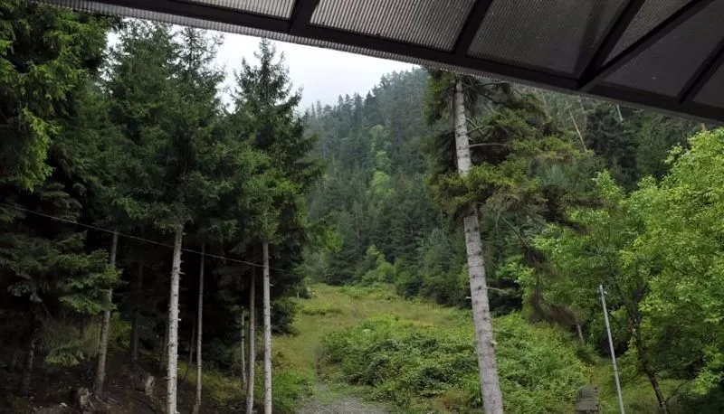 Borjomi Forest — Photo 25