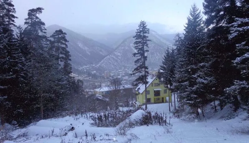 Borjomi Forest — Photo 17