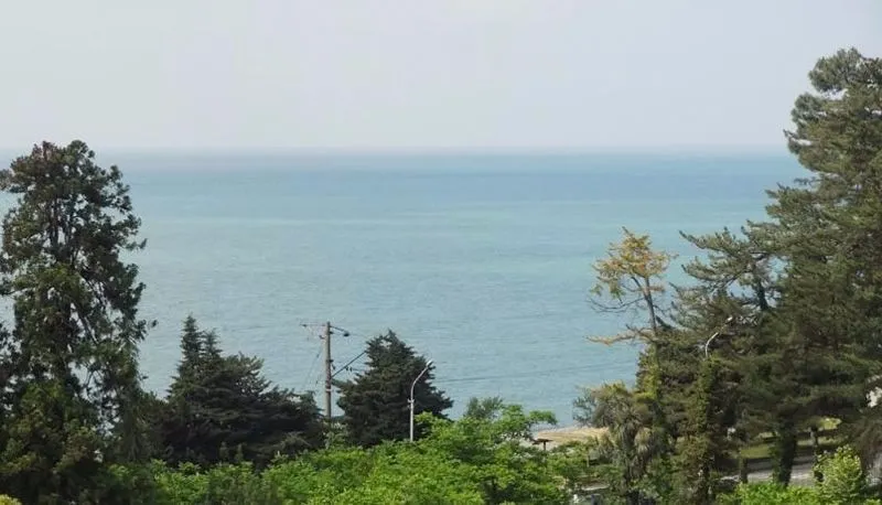 Teni — Photo 2