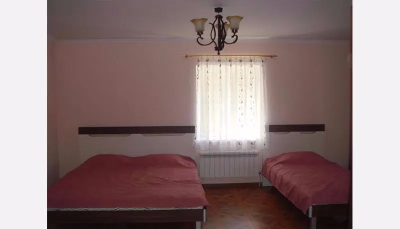 ირაირა — ფოტო 13