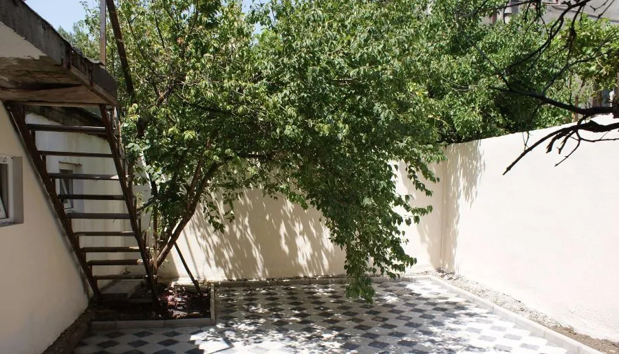 Paradise — Photo 11