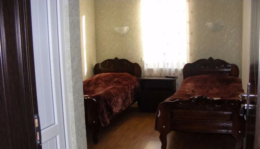 ძნელაძე — ფოტო 8