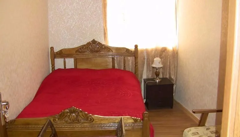 ნატო და ლადო — ფოტო 38