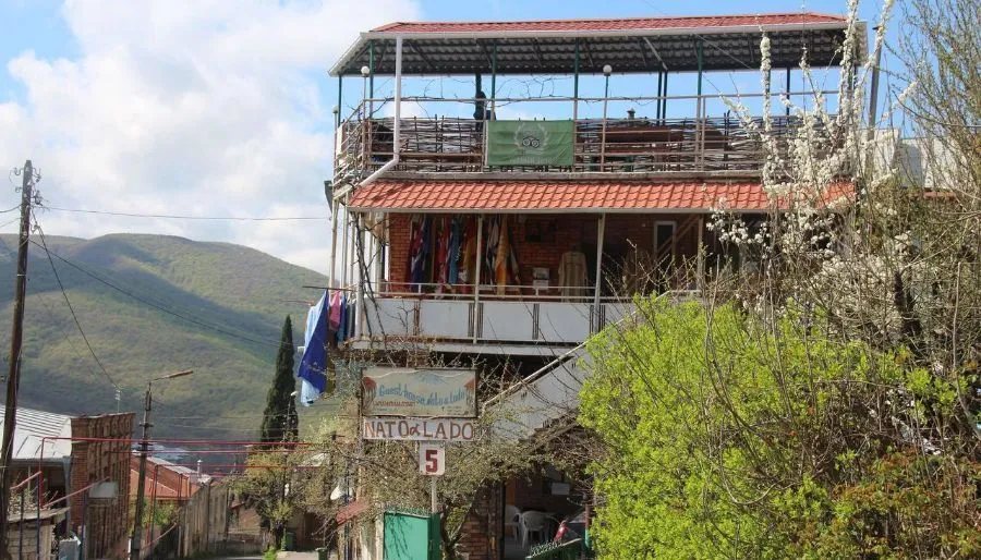 ნატო და ლადო — ფოტო 15