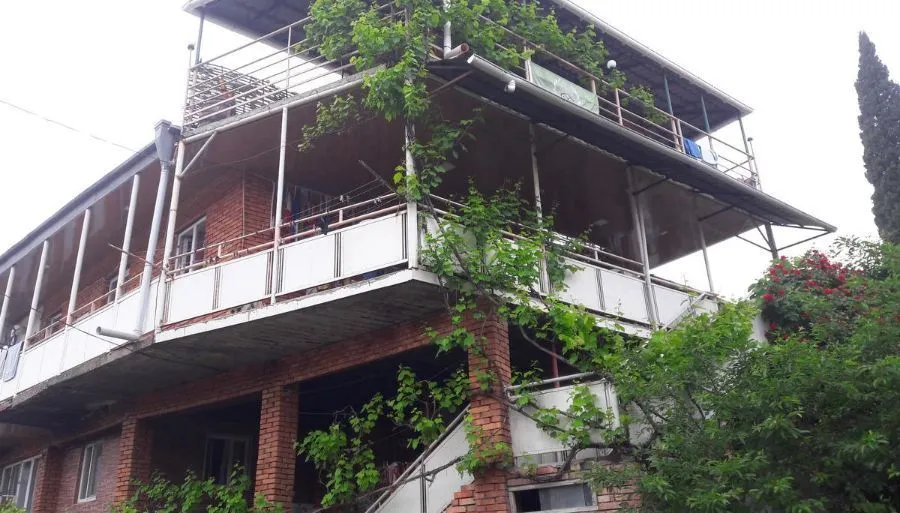 ნატო და ლადო — ფოტო 23