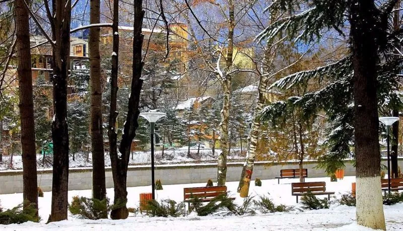 Borjomi — Photo 1