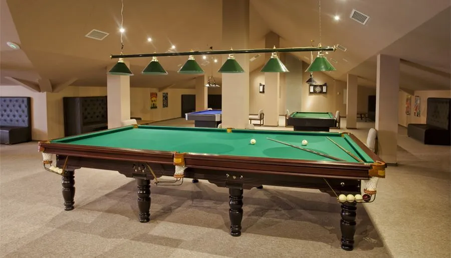 Hotel Alpina — Photo 3