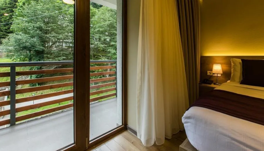 Sairme Hotels and Resorts — ფოტო 71