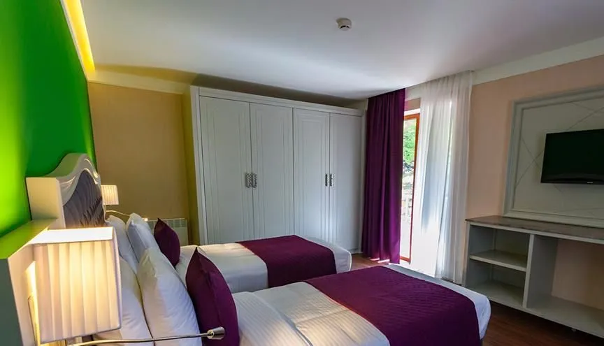 Sairme Hotels and Resorts — ფოტო 80