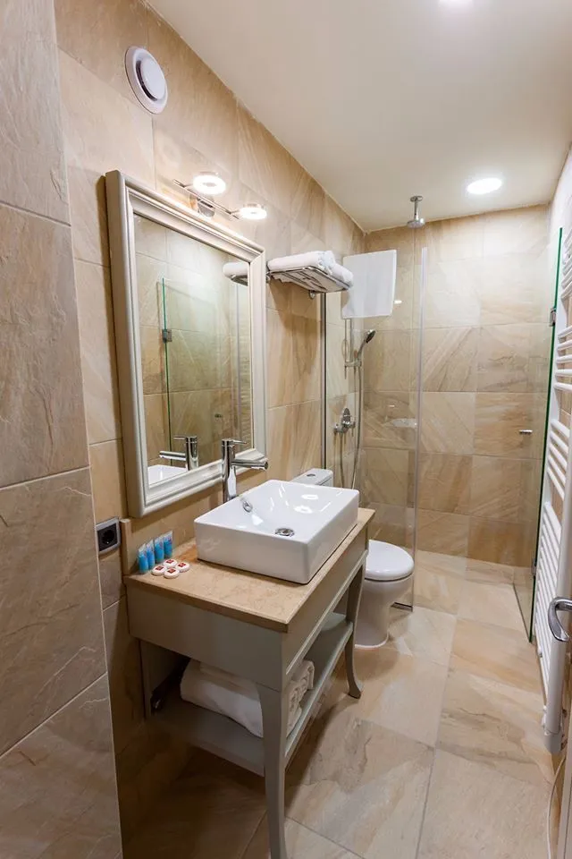 Sairme Hotels and Resorts — ფოტო 79