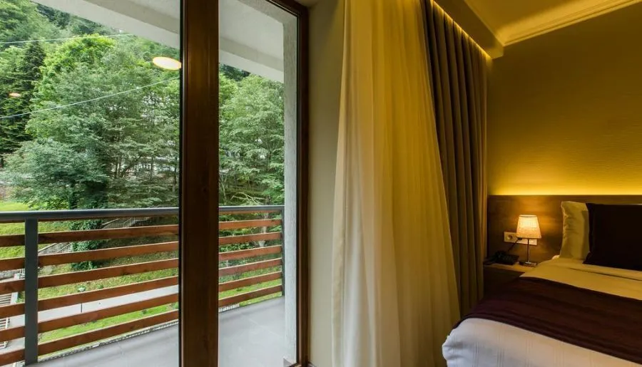 Sairme Hotels and Resorts — ფოტო 62