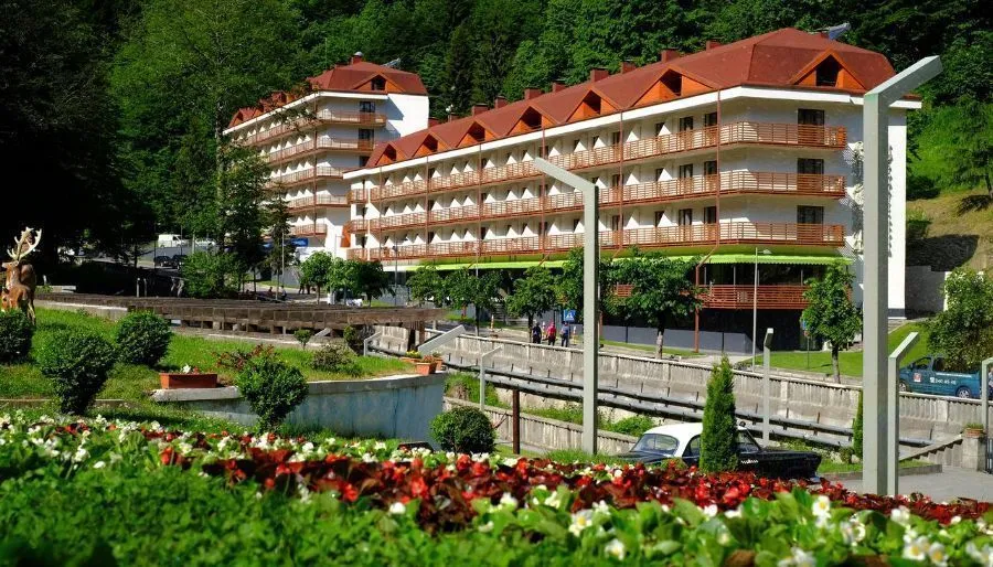 Sairme Hotels and Resorts — ფოტო 13