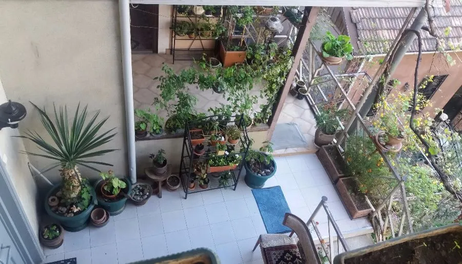 Lia guesthouse — Photo 8