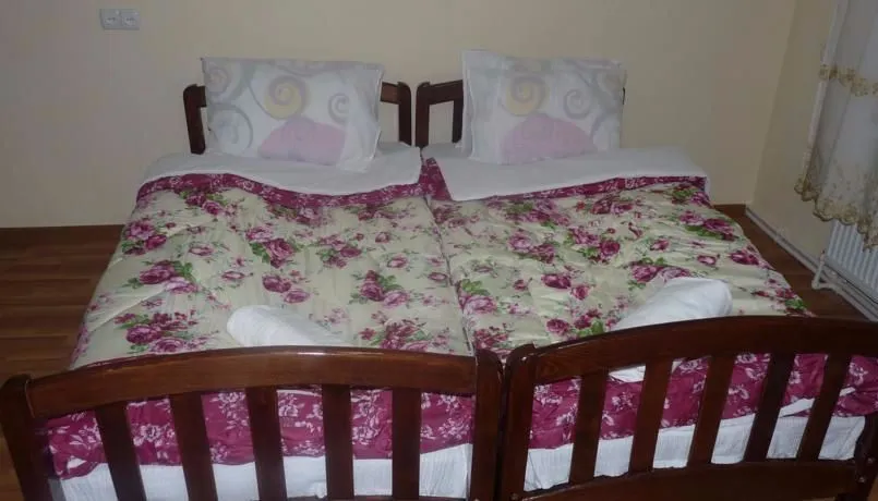 GUEST HOUSE GIS — Photo 5