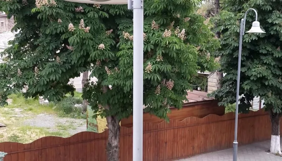 კალიფორნია — ფოტო 20